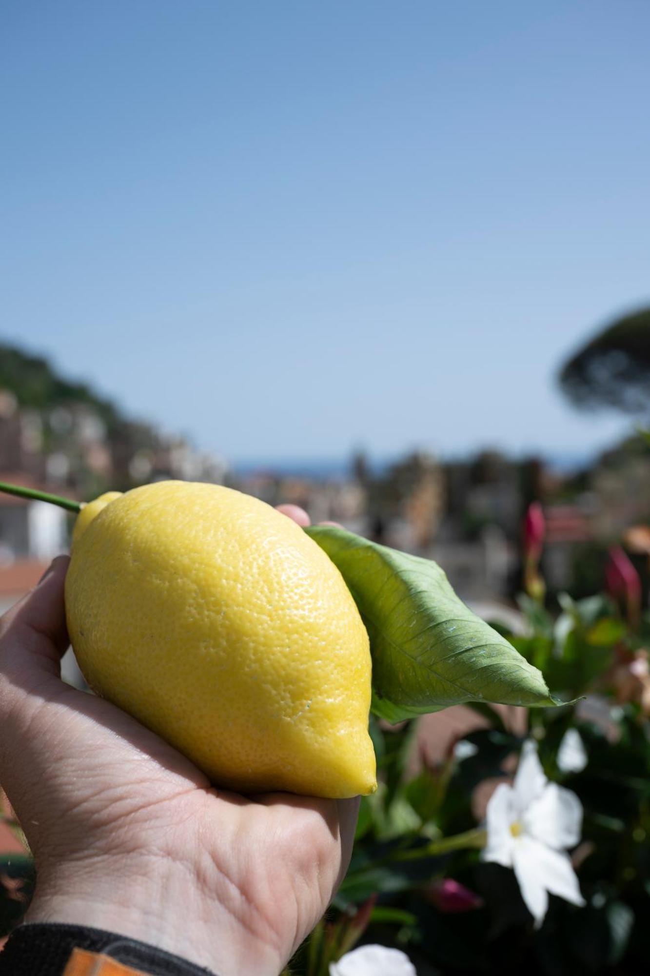 Valle D'Amalfi Suites Luaran gambar